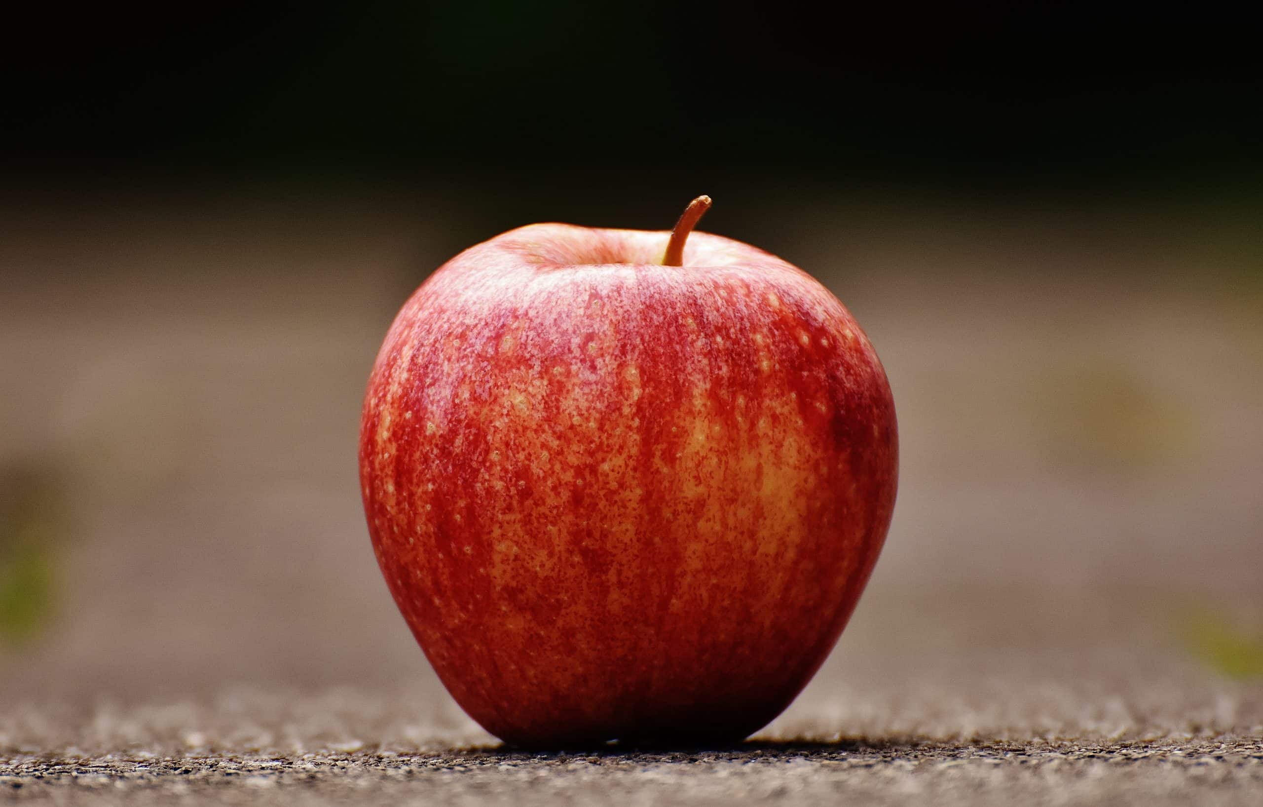 Comment faire germer un pépin de pomme sans germoir ?