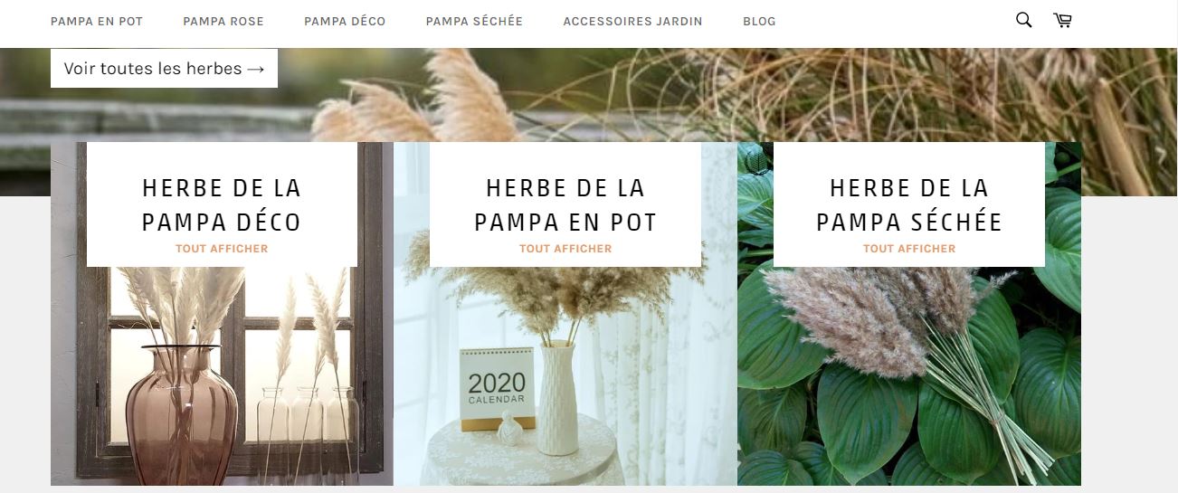 Herbe de la pampa.com : Notre avis